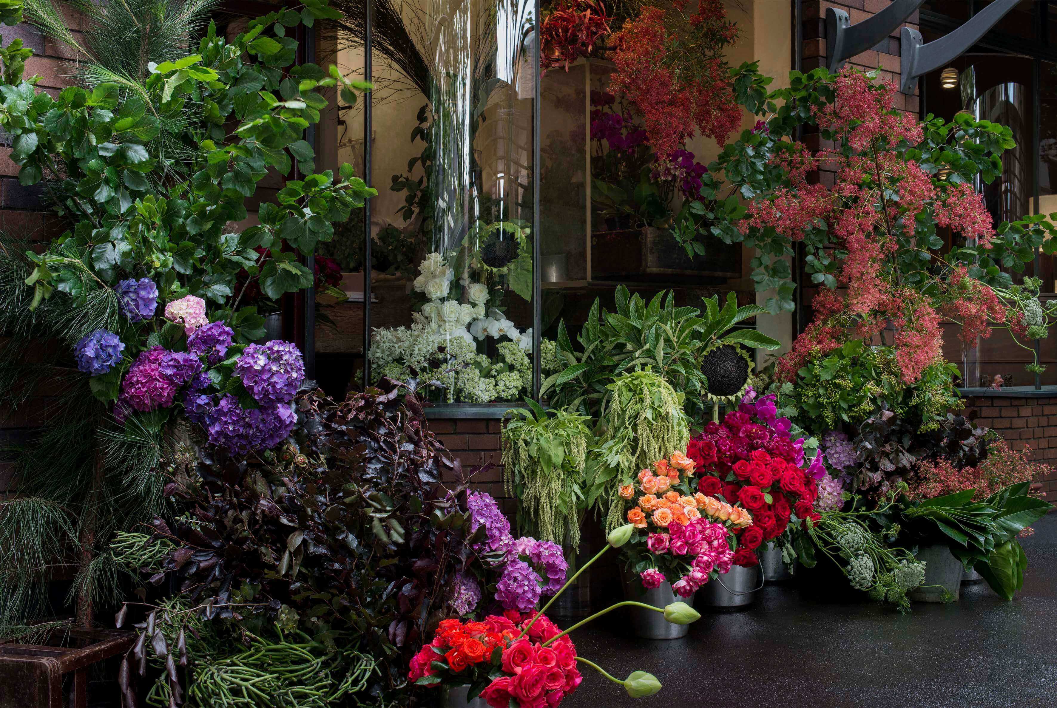 Florist Sydney, Flower Delivery Company